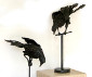 Crow Series 1 & 2